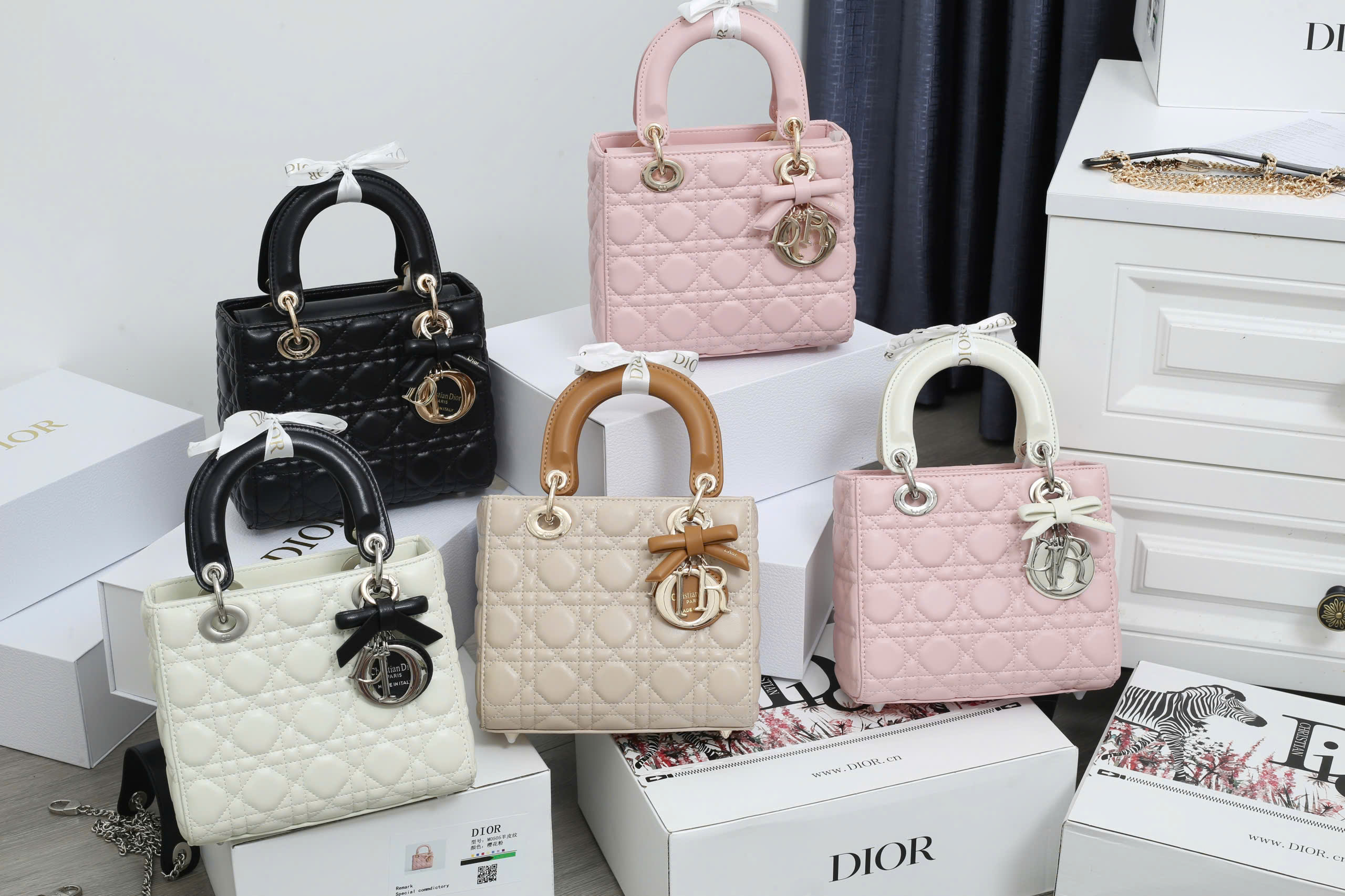 DIOR  CHARM NƠ NEW