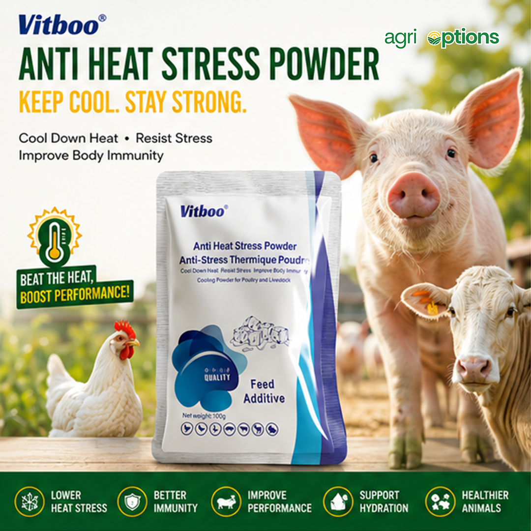 Vitboo Anti Heat Stress Powder_thumbnail_4