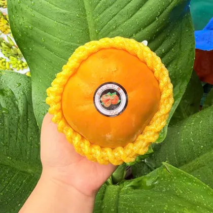 Hồng Giòn Mật_thumbnail_1