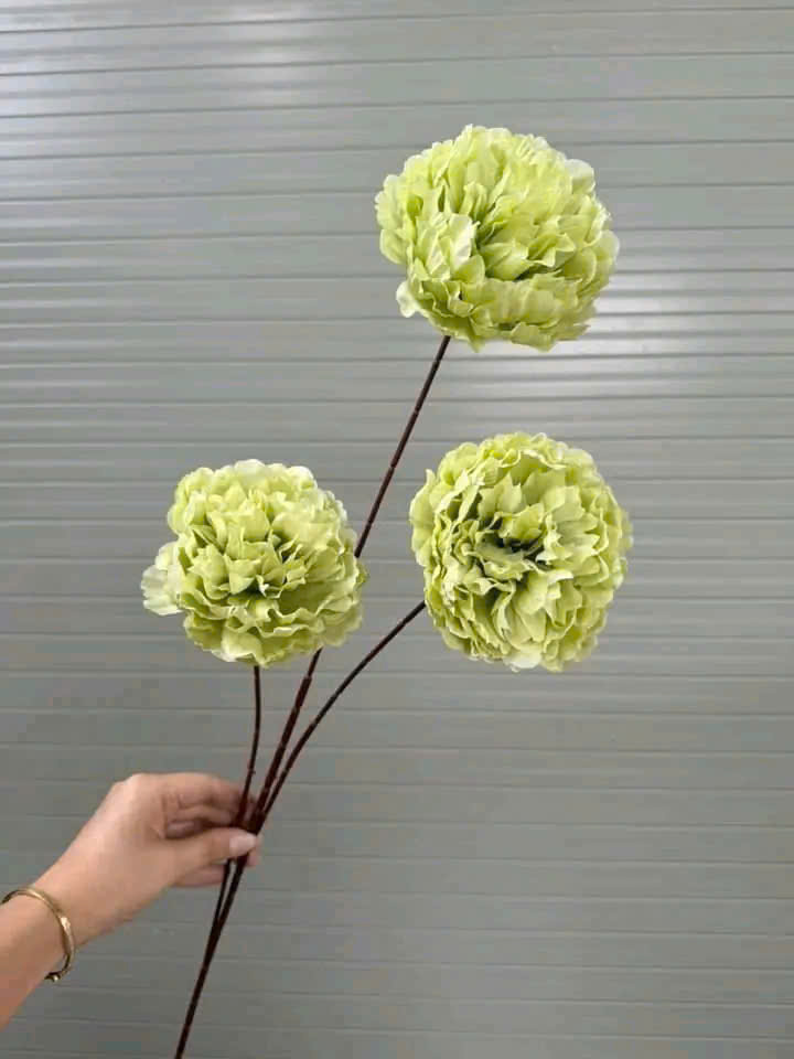 MẪU ĐƠN CÀNH CAO 11K