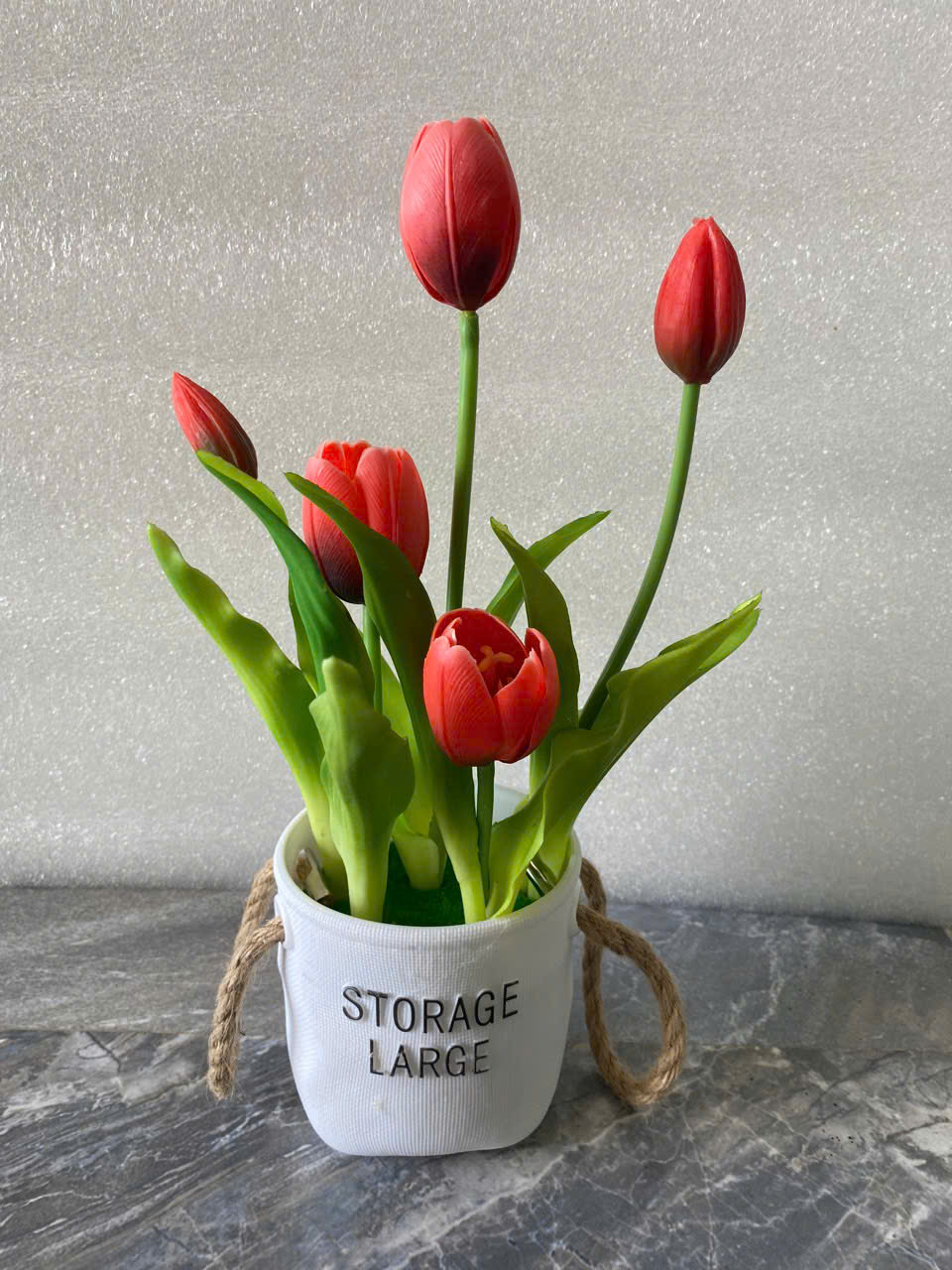 CHẬU TULIP 90K_thumbnail_8