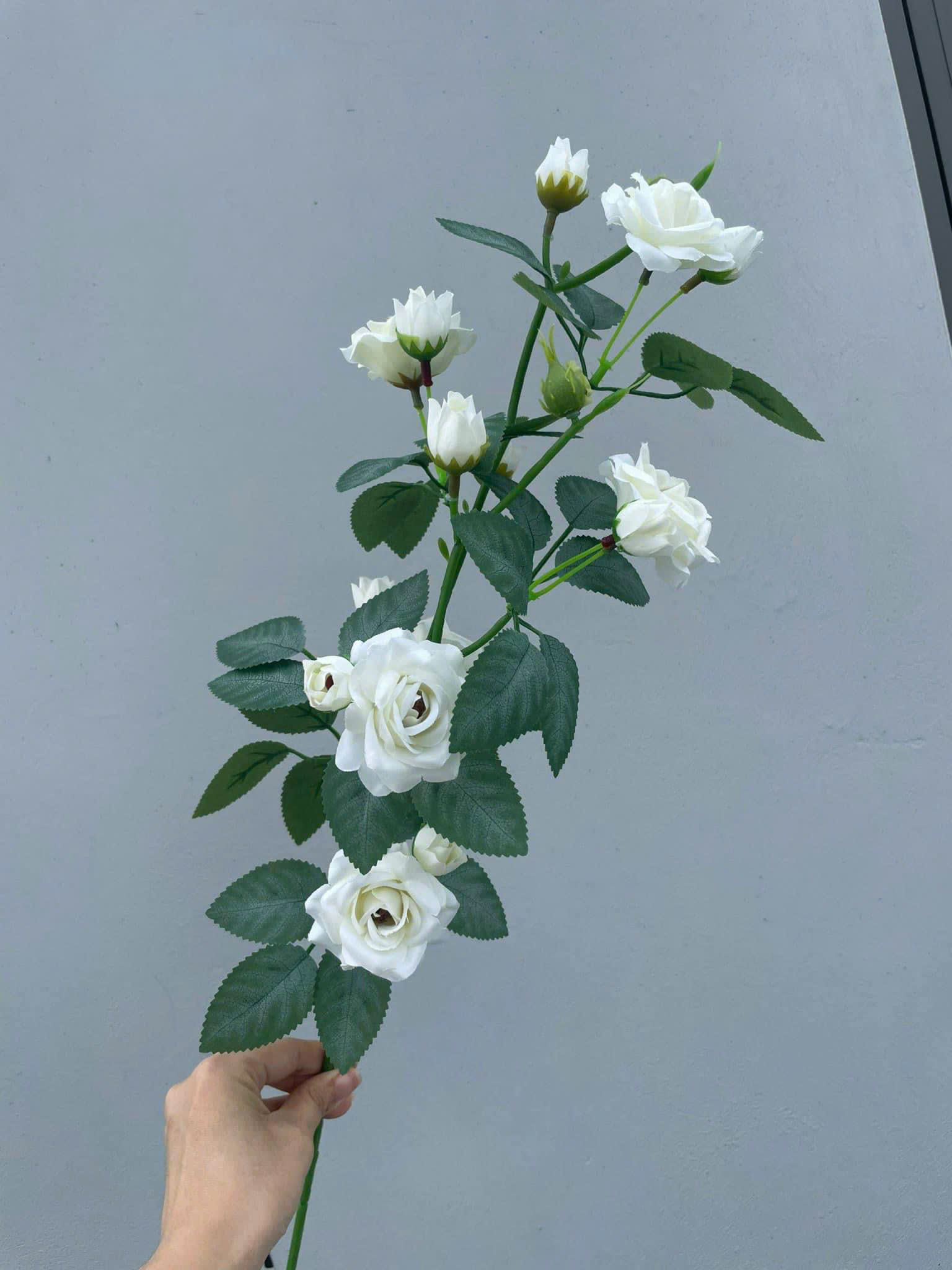 Cành hồng tỉ muội cao giá 20k_thumbnail_3