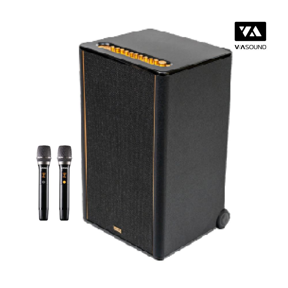 Loa Hifi Karaoke Di Động KADMA KF650_thumbnail_8