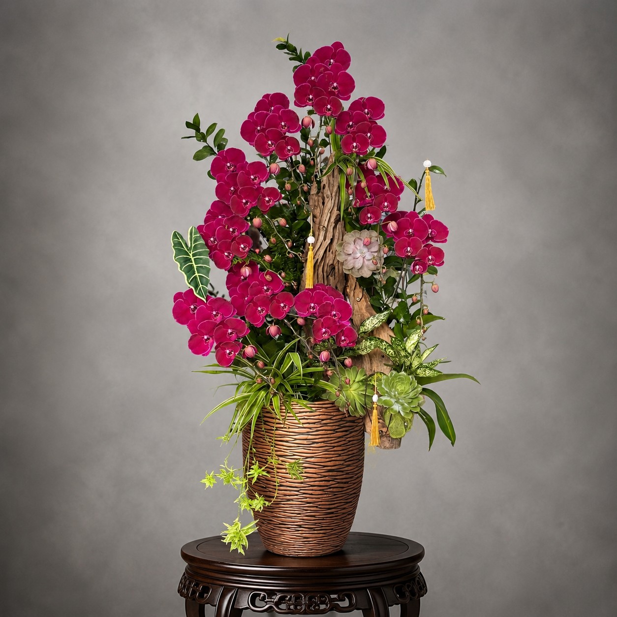 ❤️Chậu 10 Cây Lan Hồ Điệp Đỏ Cherry – Biểu Tượng Của Phú Quý, Quyền Lực Và Thành Công