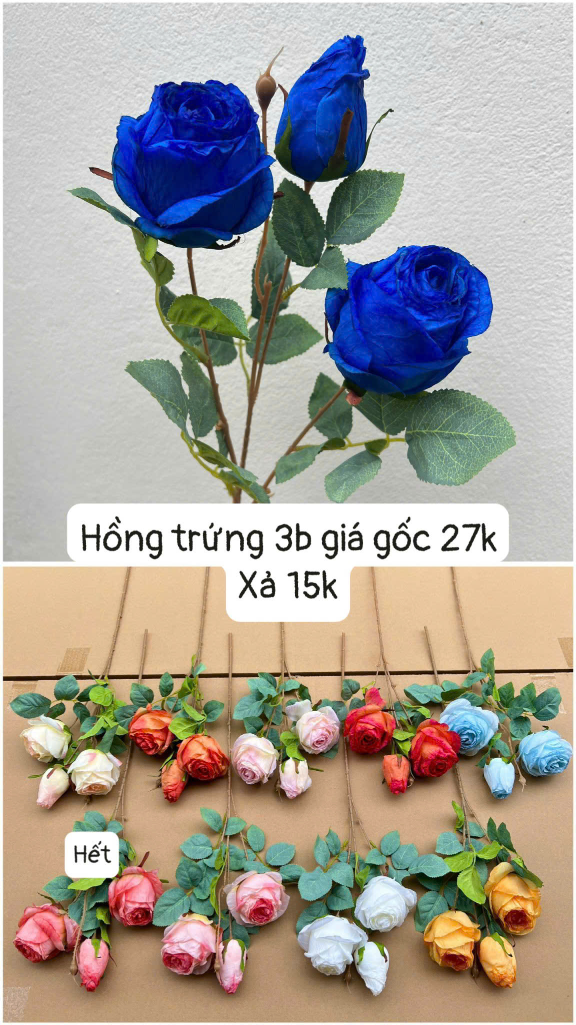 Hồng trứng 3b /15k_thumbnail_5