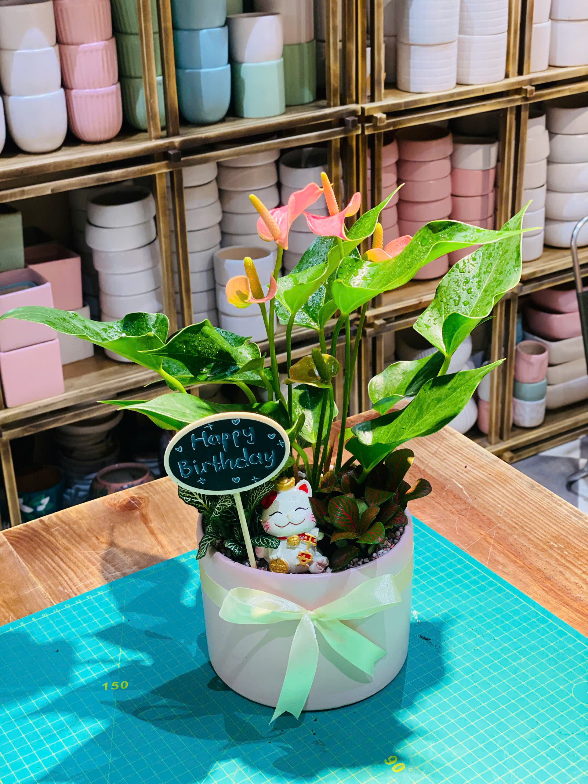 SET MIX HỒNG MÔN CAO CẨM NHUNG MÈO THẦN TÀI