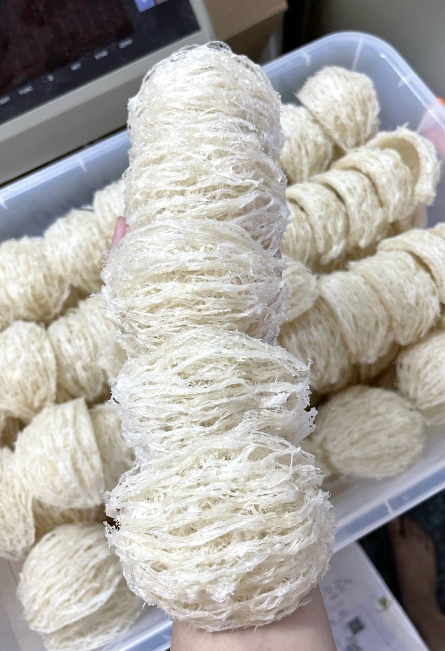 Những Ai Nên Thận Trọng Khi Dùng Yến Sào? Lưu Ý An Toàn