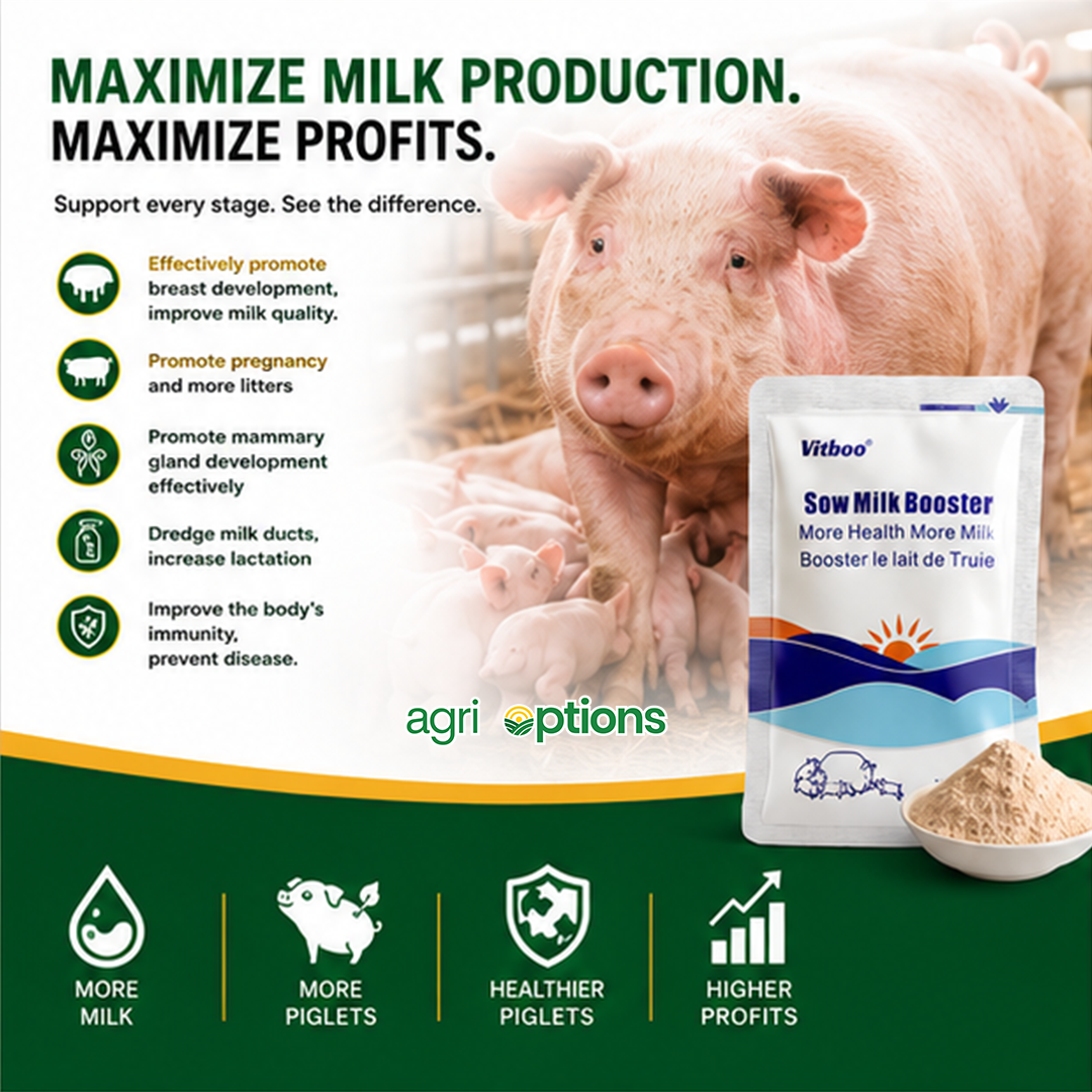 Vitboo Sow Milk Booster_thumbnail_9