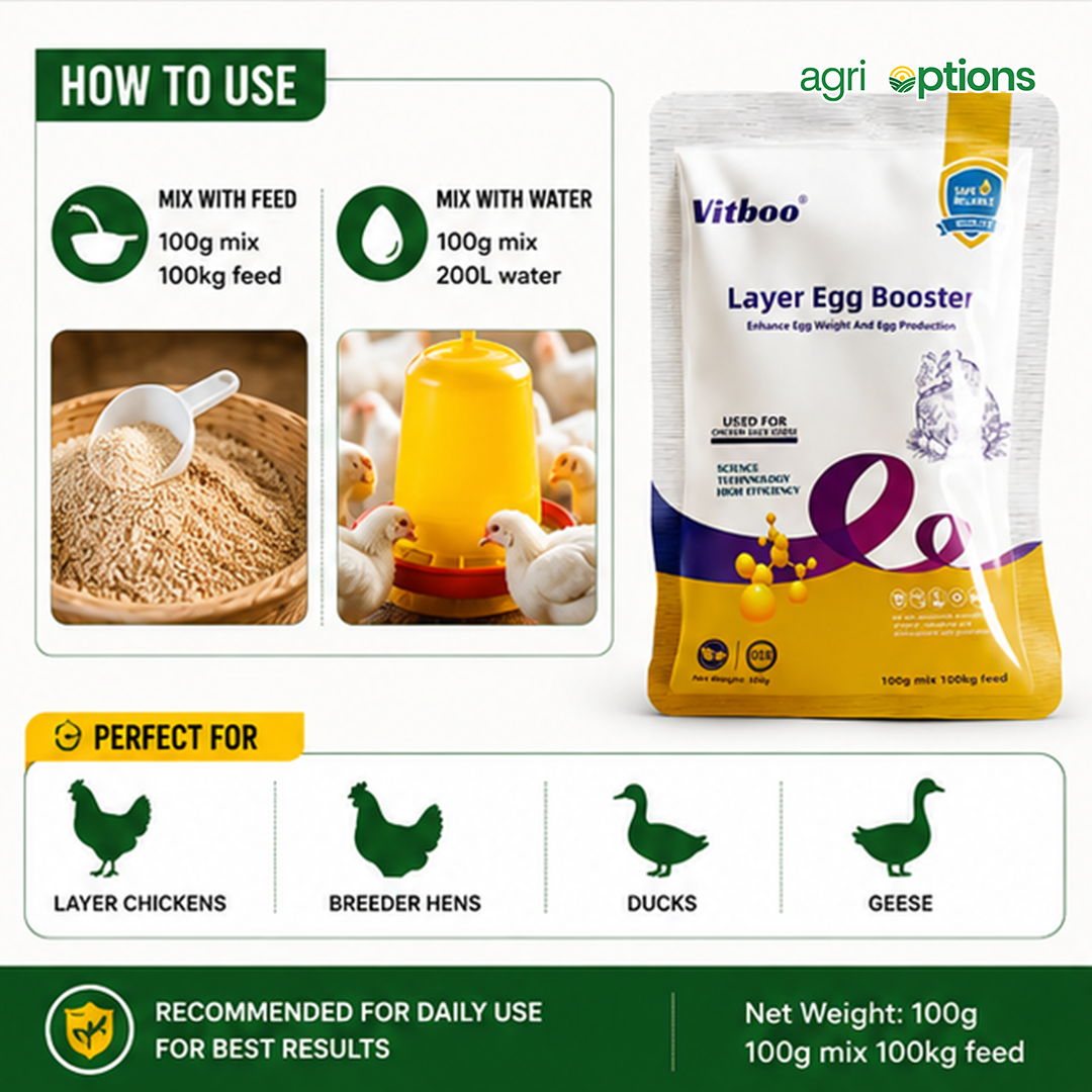 Layer Egg Booster_thumbnail_5