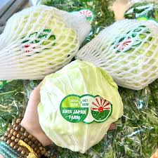 Bắp cải trắng hữu cơ - 700g_thumbnail_1