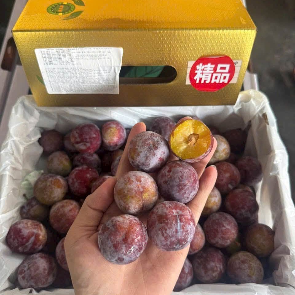 Mận Mật Ong