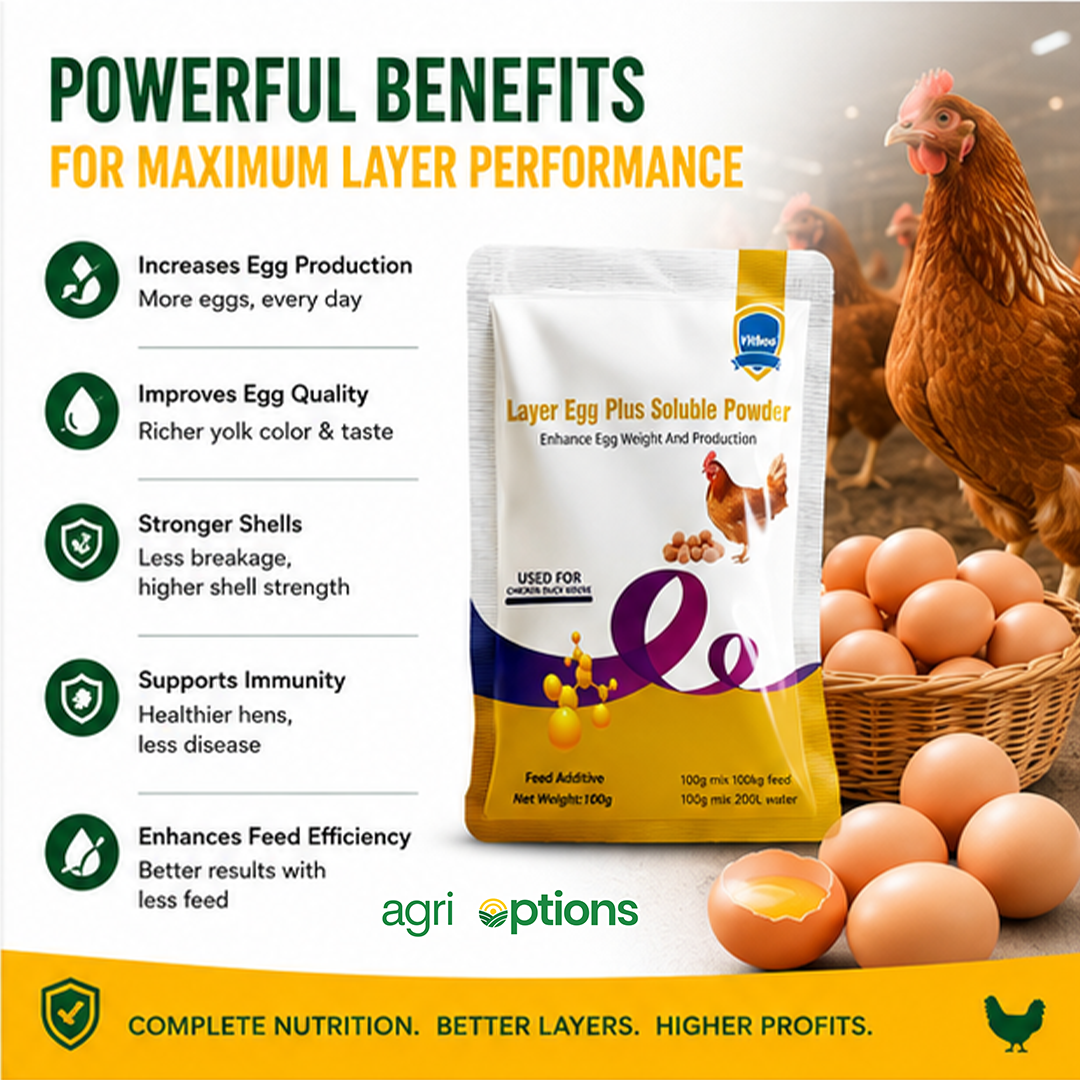 Layer Egg Plus Soluble Powder_thumbnail_8