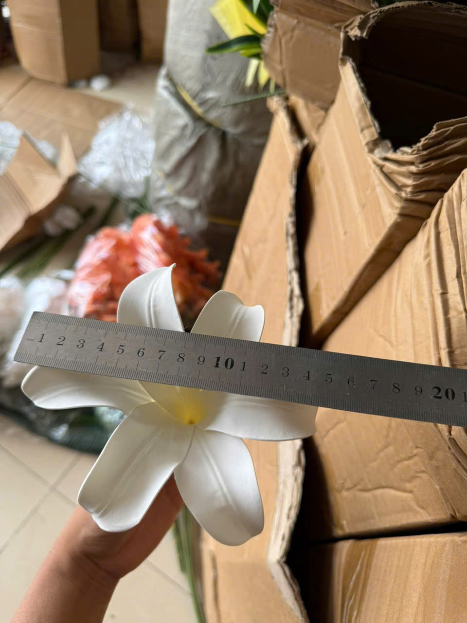 Ly treo , ly xốp giá 6k  ak_thumbnail_3