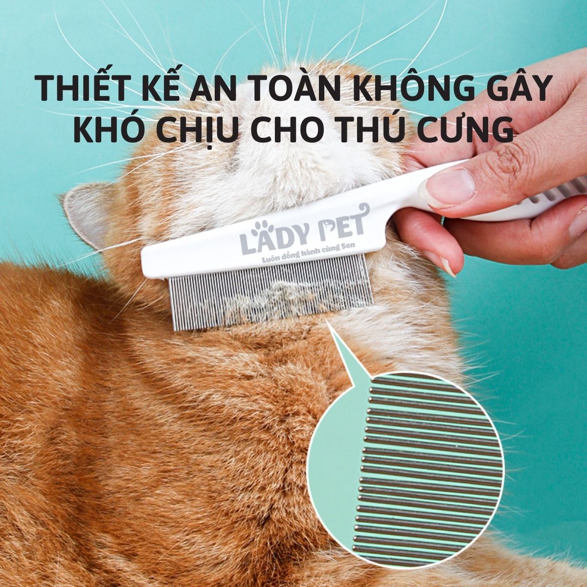 Lược chải ve rận, lông mép_thumbnail_2