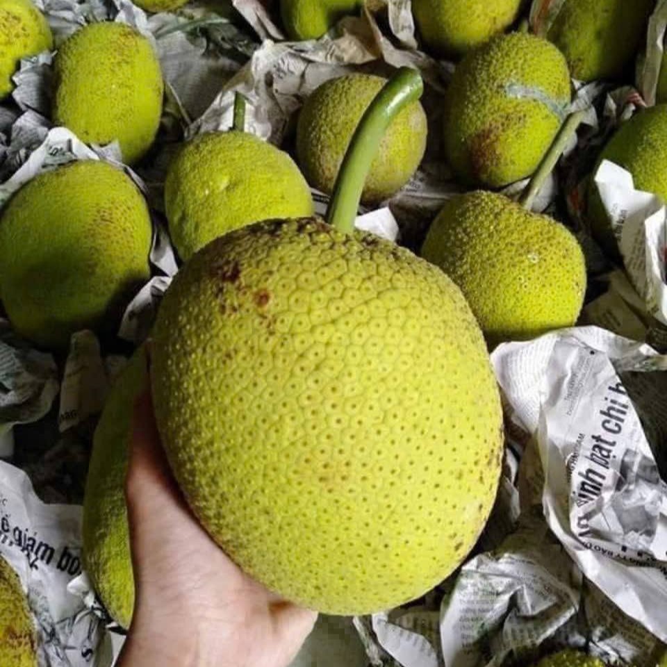 Trái Sake Tươi