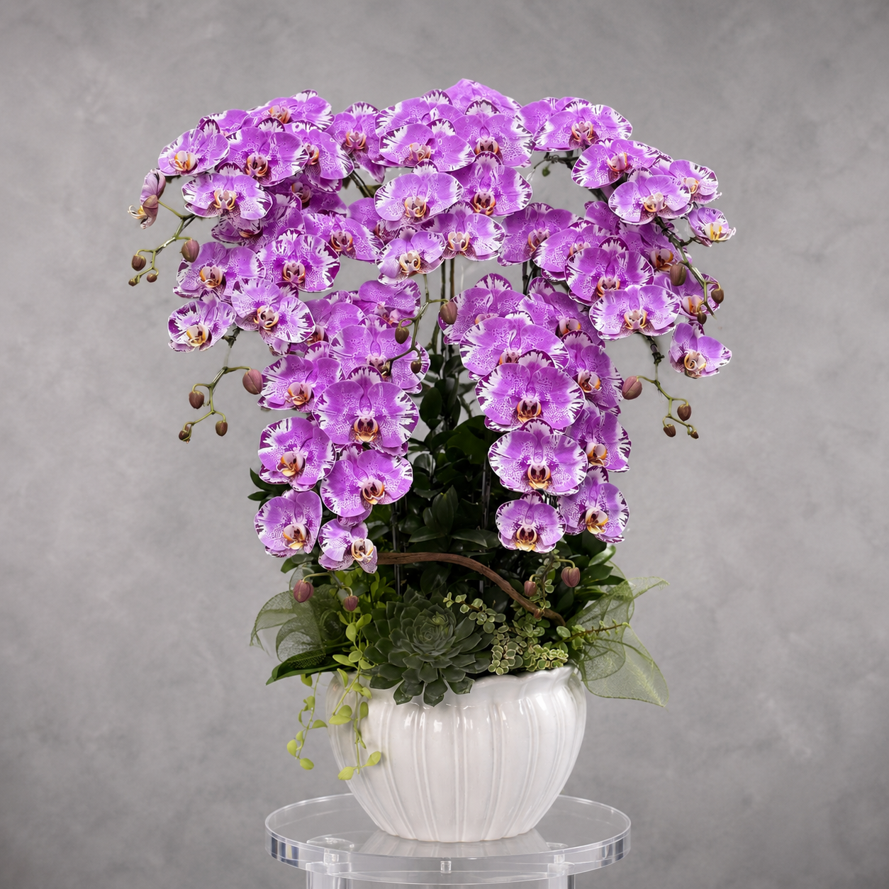 🌸 Chậu Lan Hồ Điệp Tươi 7 Cành Tím Họa Tiết – Kiệt Tác Sang Trọng Cho Không Gian Đẳng Cấp