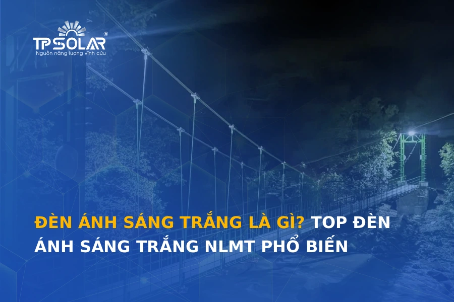 Đèn ánh sáng trắng là gì? Top đèn ánh sáng trắng NLMT phổ biến