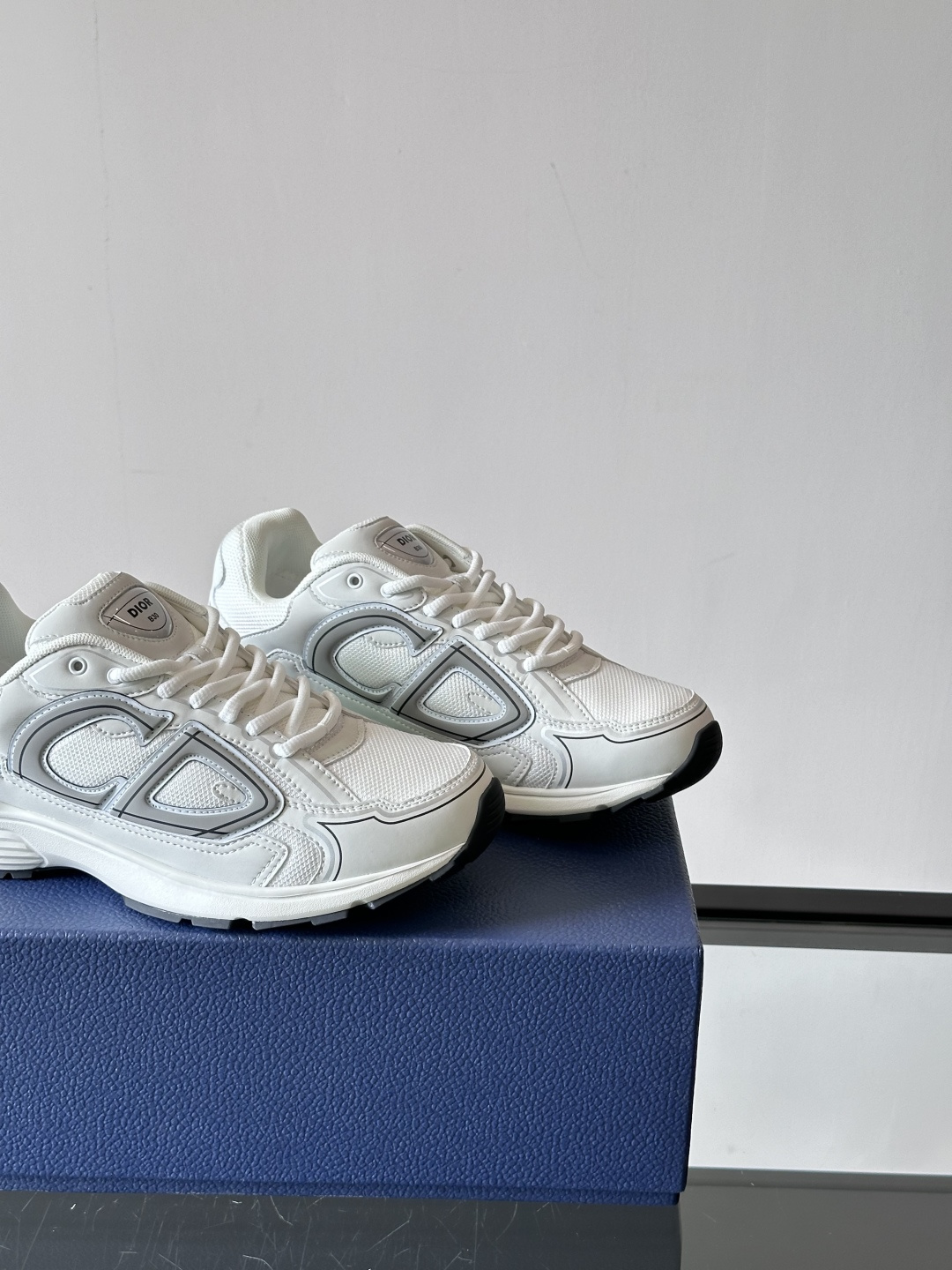 Giày  Dior B30
