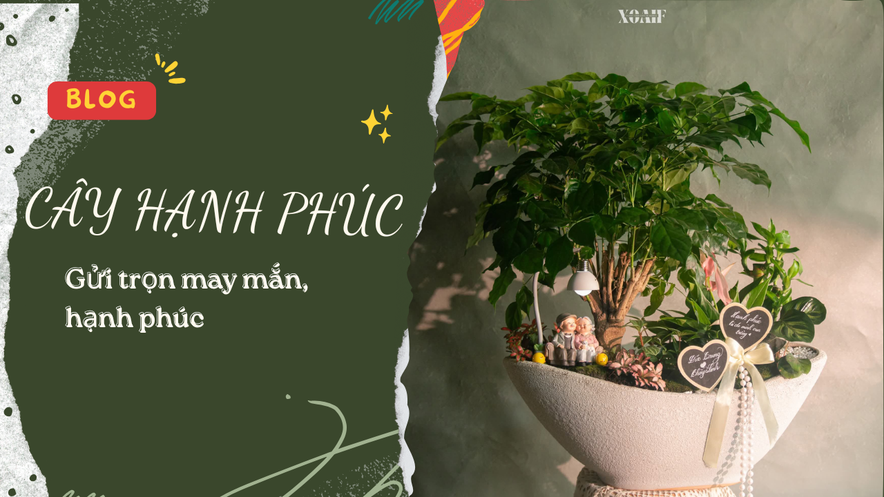 CÂY HẠNH PHÚC  - Gửi trọn viên mãn, hạnh phúc