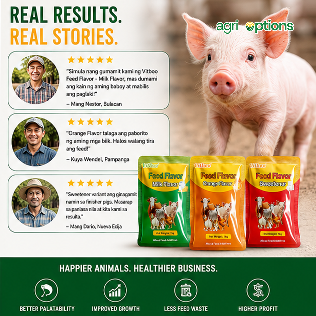 Vitboo Feed Flavor - Milk Flavor_thumbnail_3
