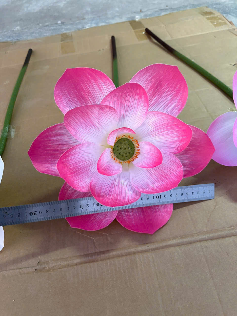 SEN CAO SU 3D SIZE TO 64K_thumbnail_5