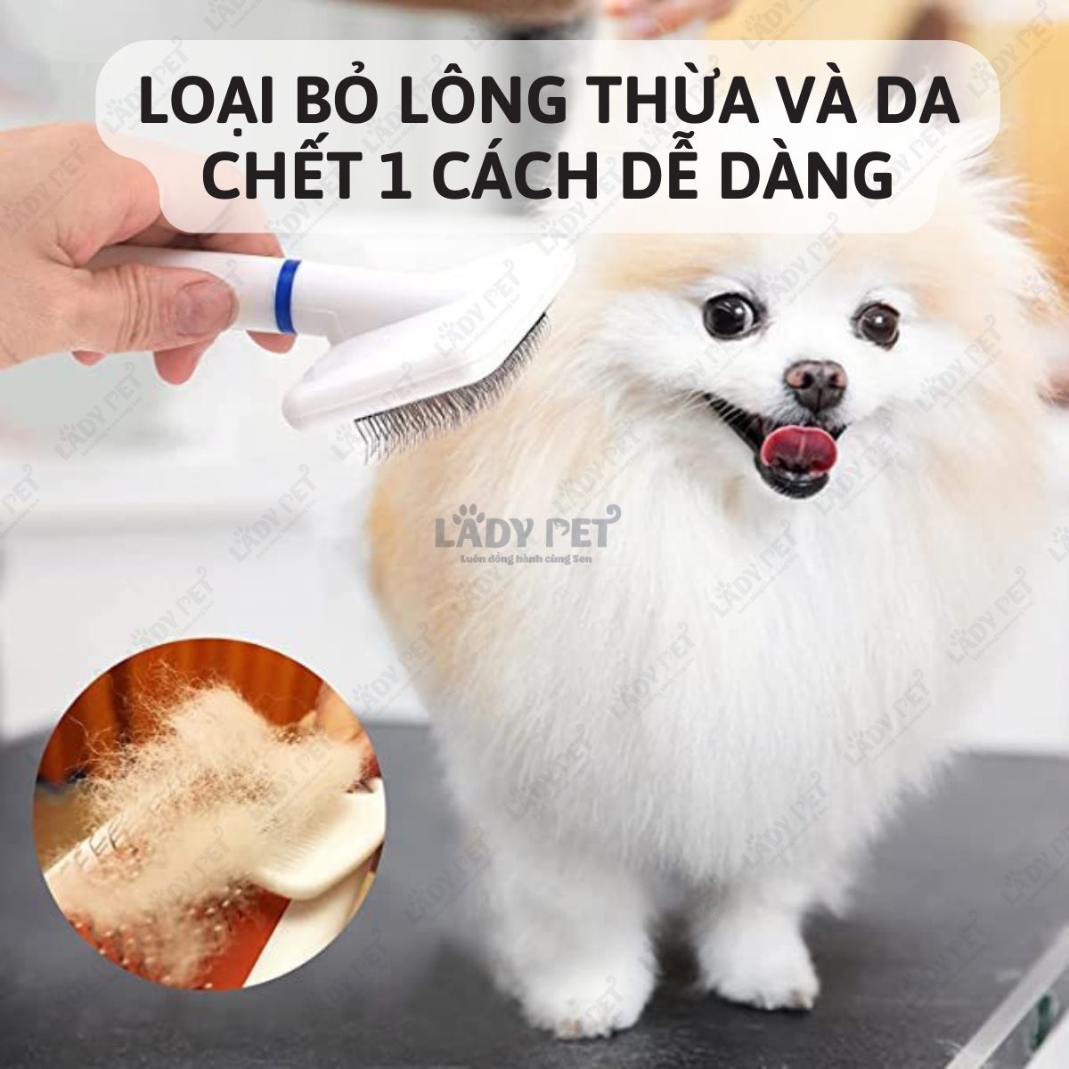Lược đánh xù lông thú cưng_thumbnail_2