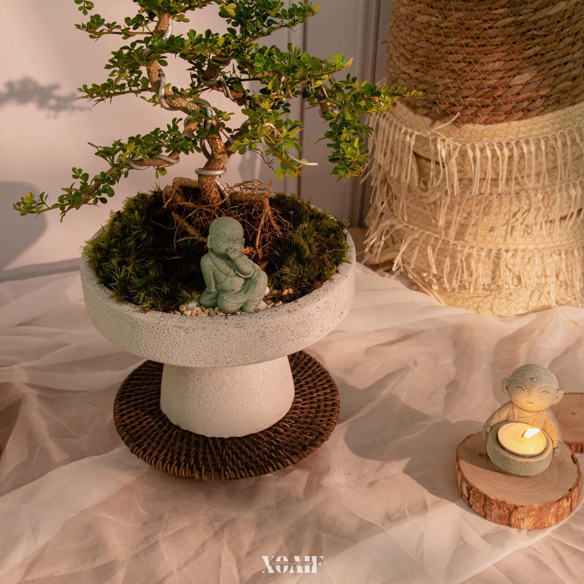 SET MIX CẦN THĂNG CHẬU LY MEN XÔI _thumbnail_2