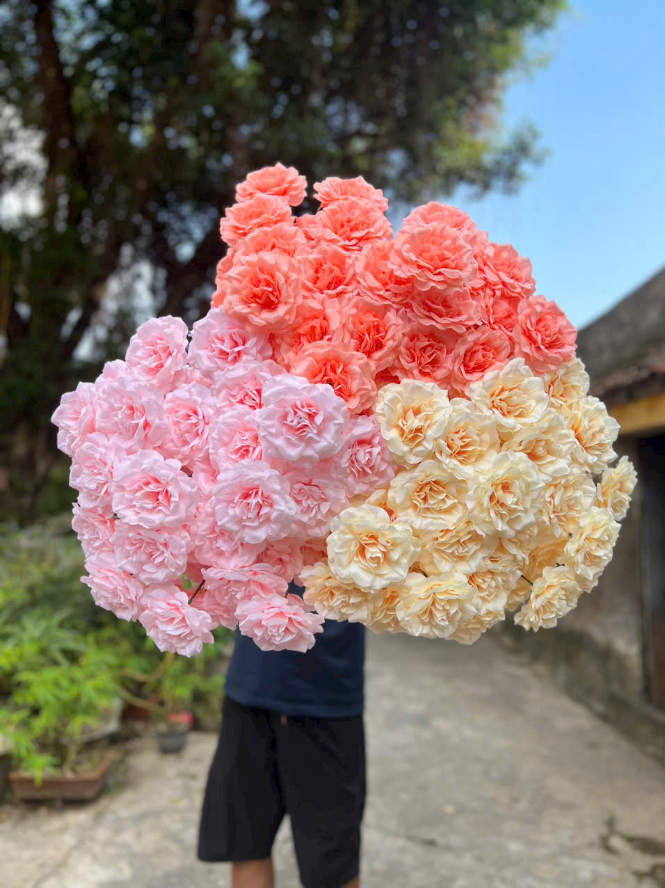 HỒNG XOĂN CÀNH NGẮN 10K_thumbnail_2