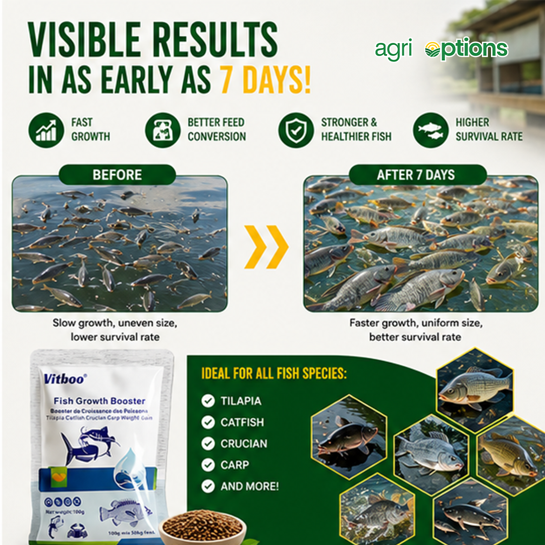 Vitboo Fish Growth Booster_thumbnail_4