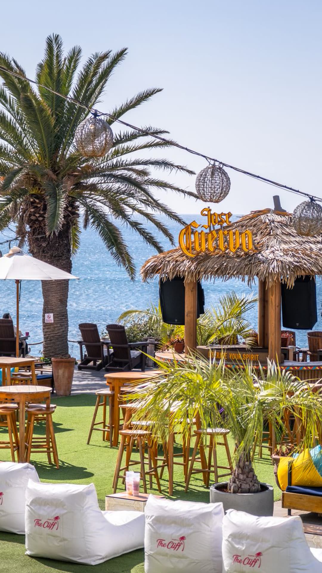 Beach club frente al mar con palmeras en Cozumel