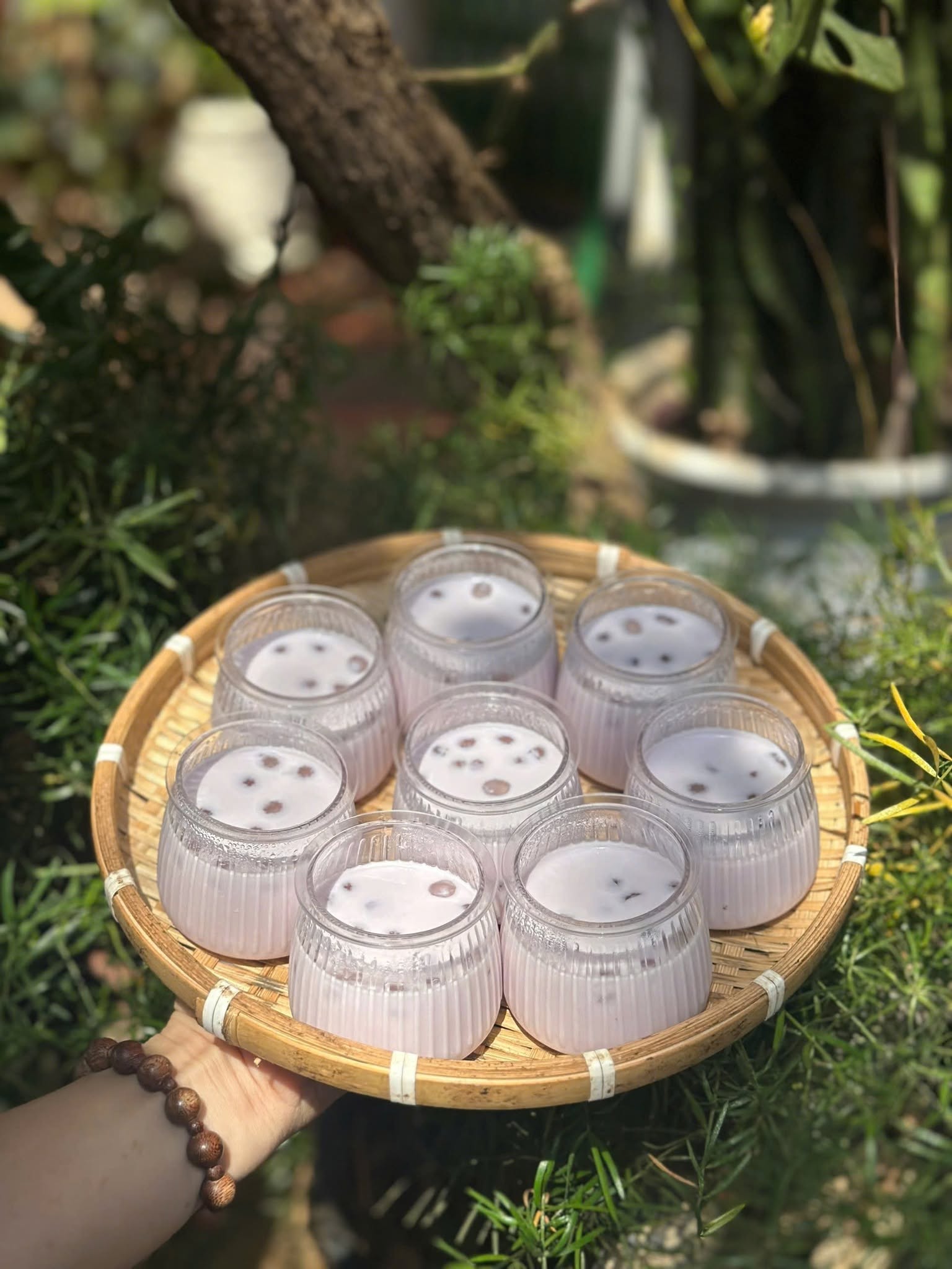 sữa chua khoai môn_0