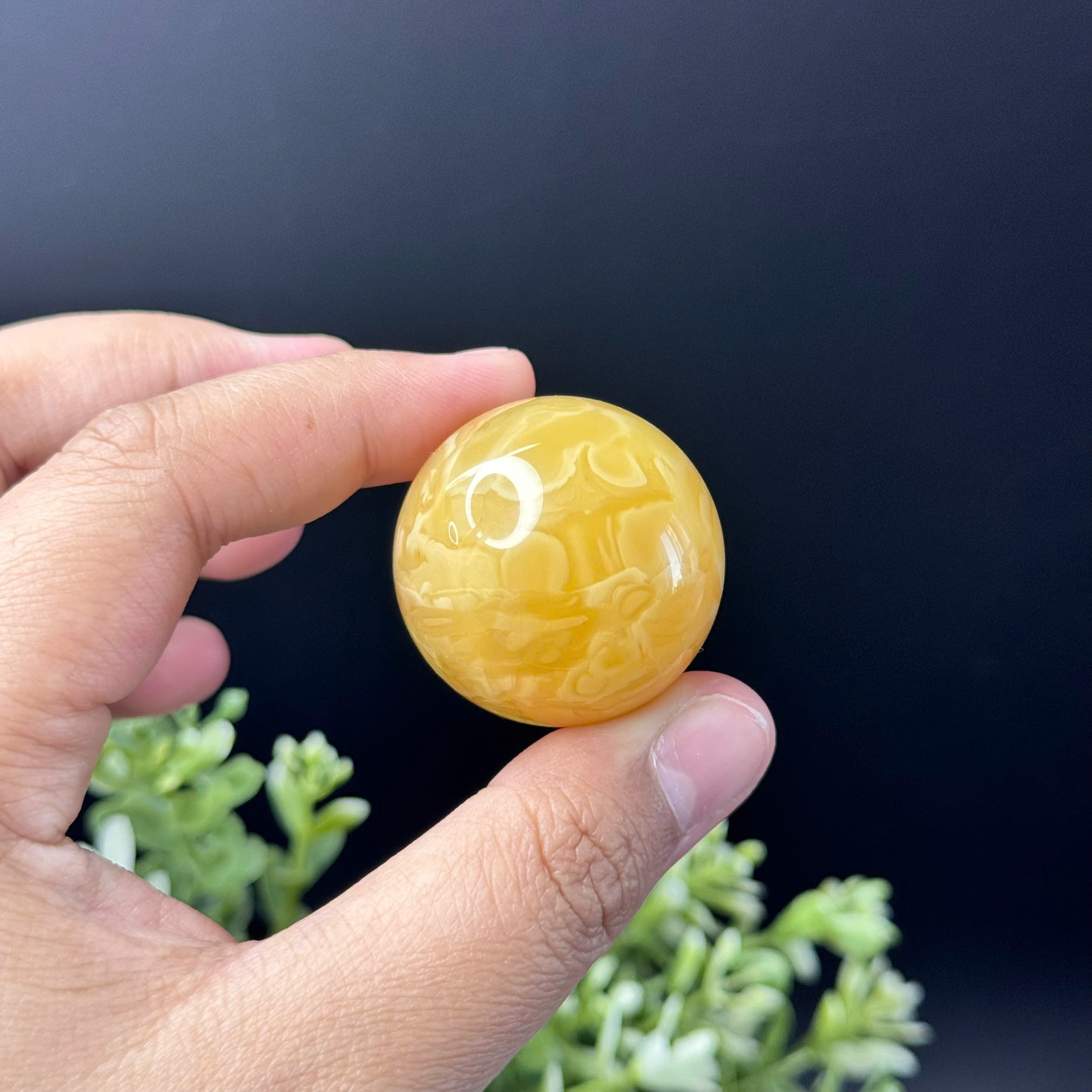 Trứng Hổ Phách Baltic Hoàng Gia Mật Đậm Vân Sữa - 0052_thumbnail_2