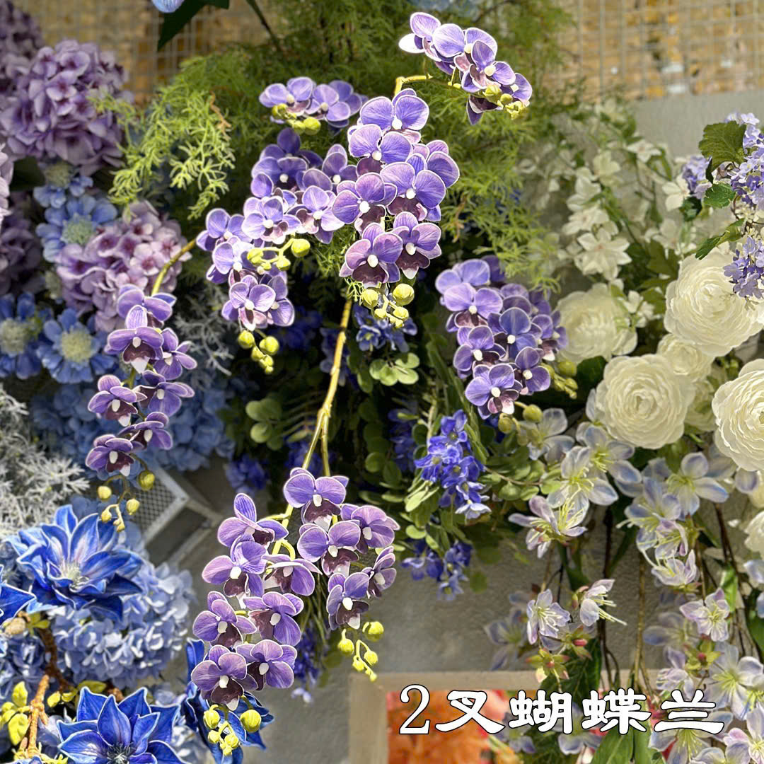TIỂU HỒ ĐIỆP 12B 24K_thumbnail_4