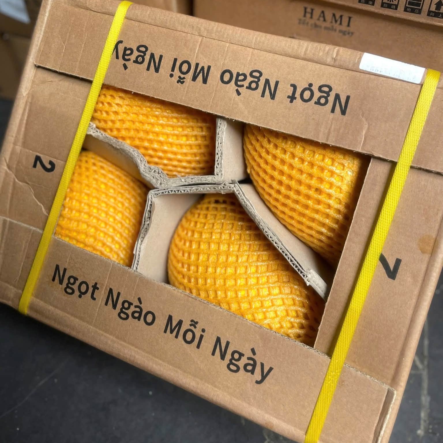 Dưa Lưới Vàng Tân Cương_thumbnail_1