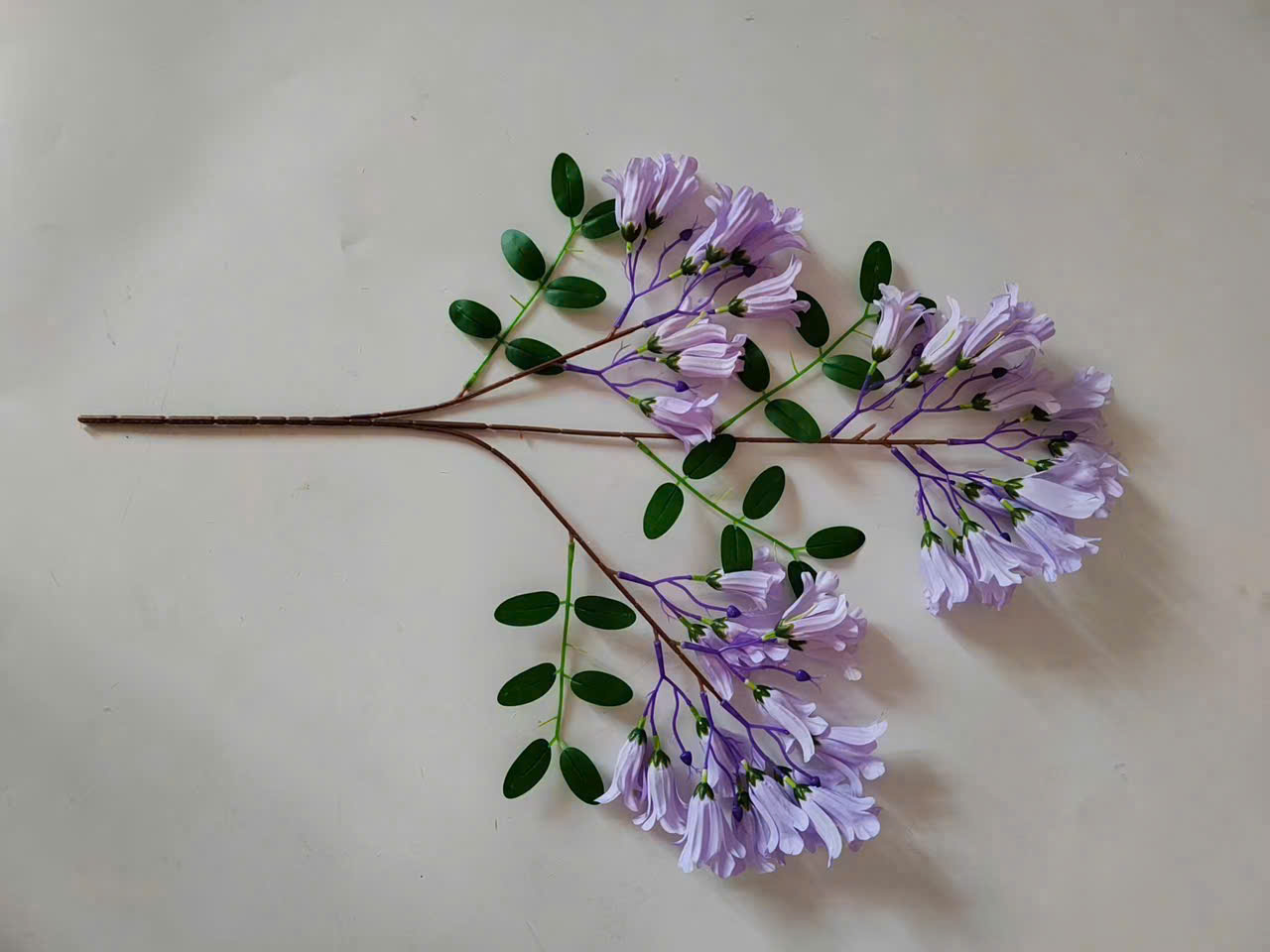 Ngọc Lan chùm(Hoa lan Phượng )giá 21K ak