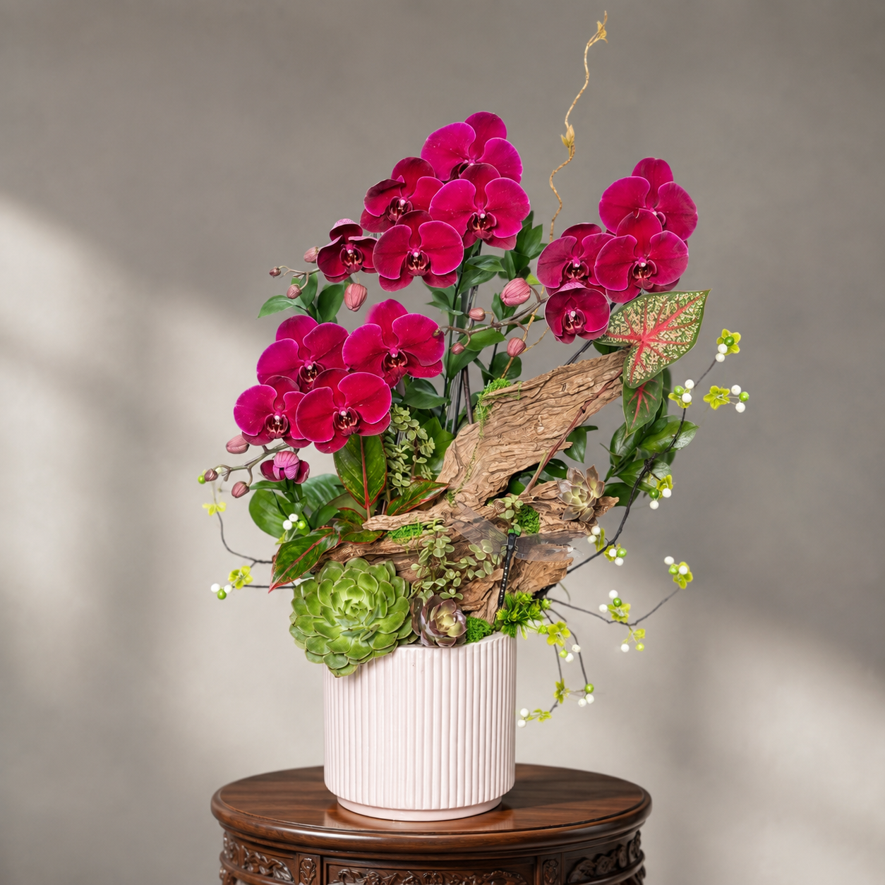 ❤️Chậu Lan Hồ Điệp Đỏ Cherry Ghép Gỗ Lũa Nghệ Thuật 3 Cây – Kiệt Tác Phong Thủy Mang Đậm Dấu Ấn Thiên Nhiên