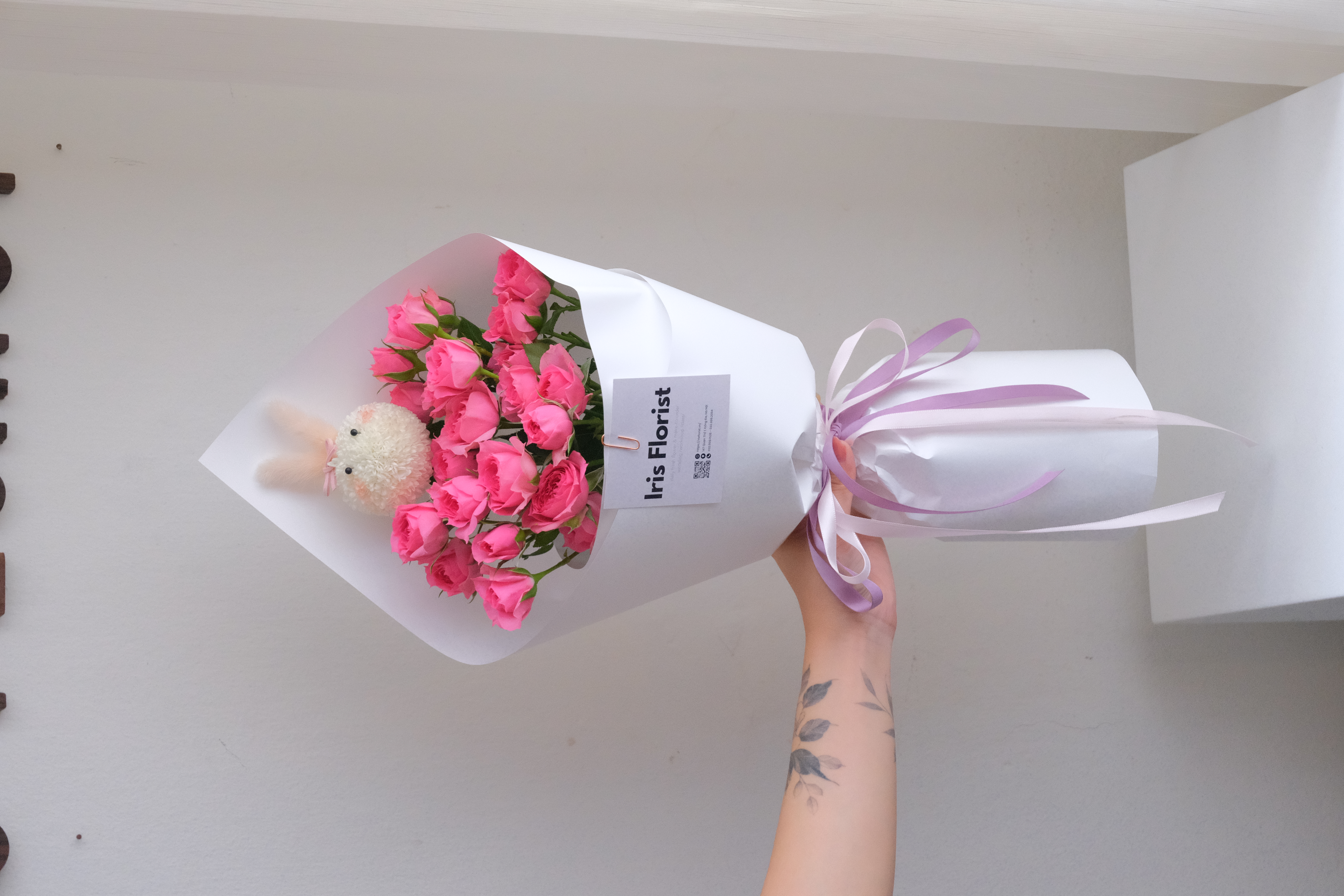 Hồng Sophia mix thỏ trắng
