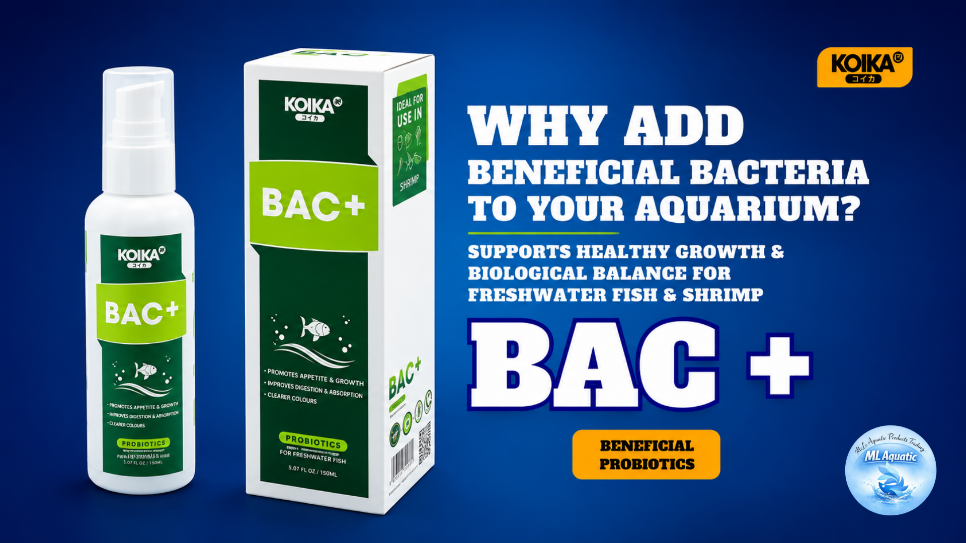 Why Add Beneficial Bacteria to Your Aquarium? The Key to a Healthy and Balanced Tank