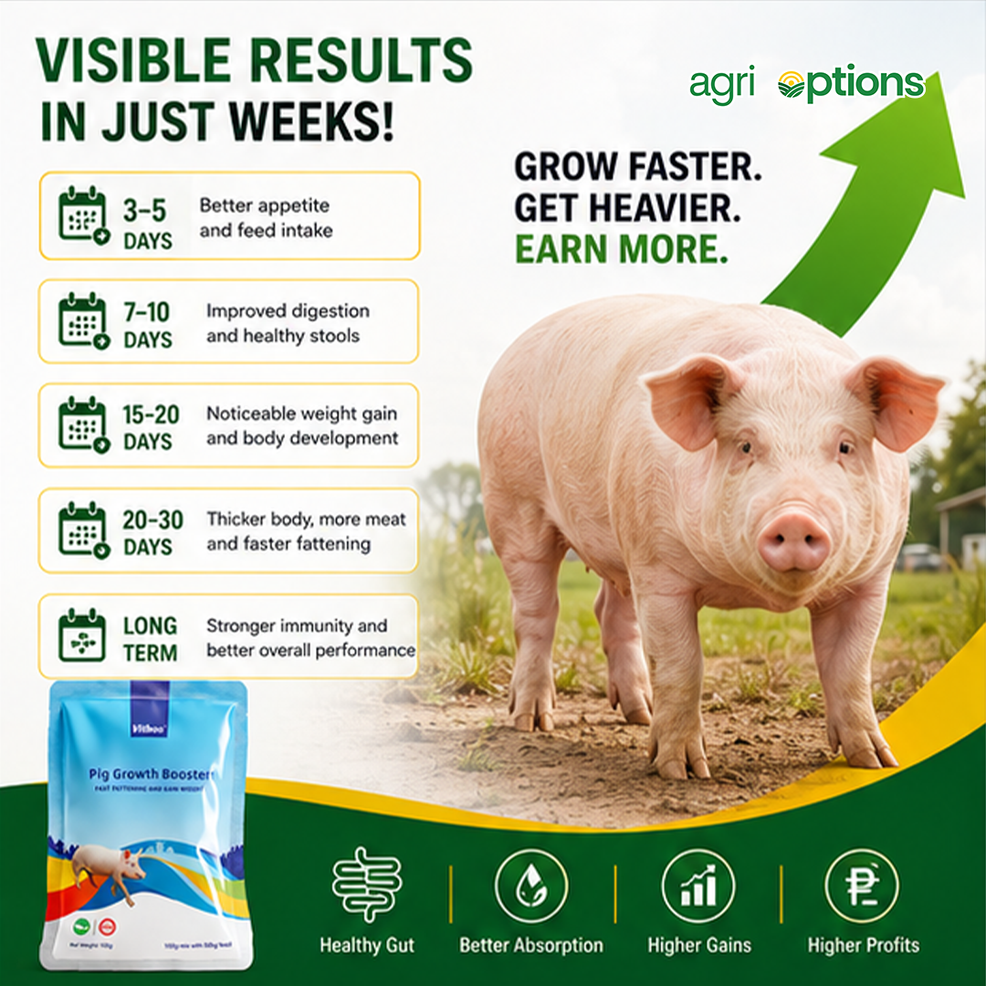 Vitboo Pig Growth Booster_thumbnail_3