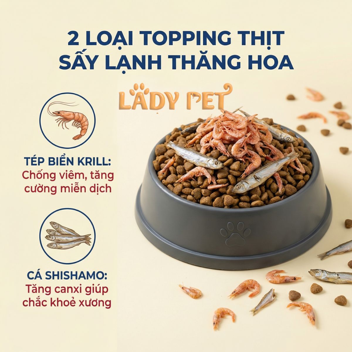 Hạt cho mèo MR VET T4 cho mèo (1KG)_thumbnail_7