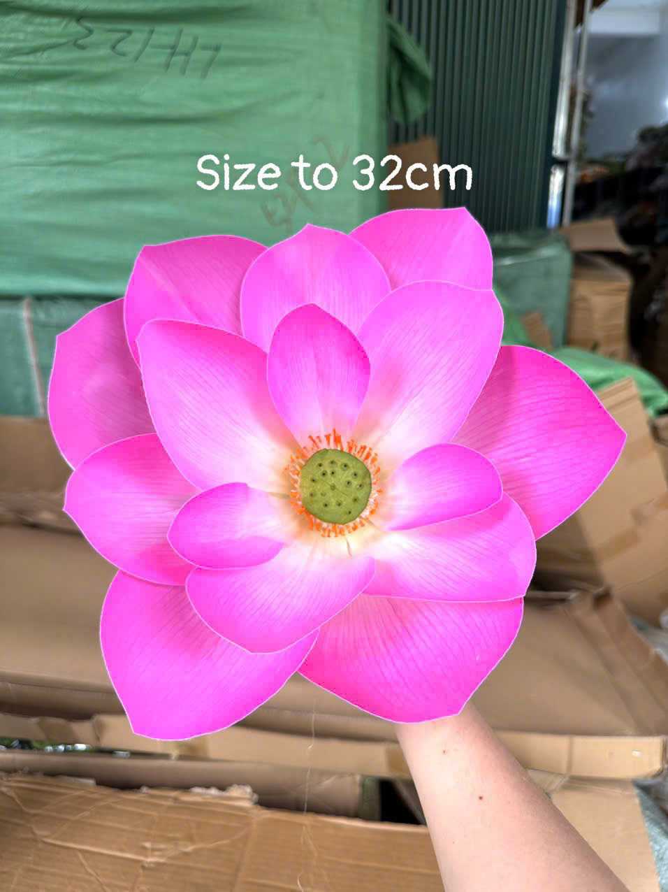 SEN CAO SU 3D SIZE TO 64K