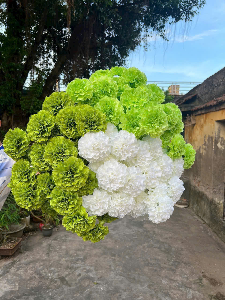 Phăng tròn 3b - 12k_thumbnail_3
