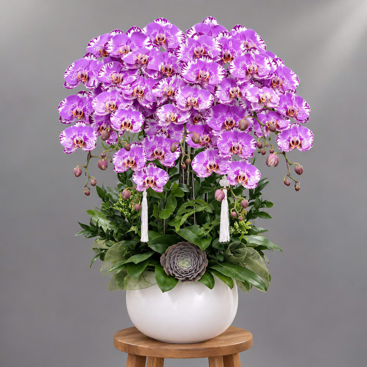 🌸 Chậu Lan Hồ Điệp Tươi 5 Cành Tím Hồng – Thanh Lịch, May Mắn Và Phú Quý