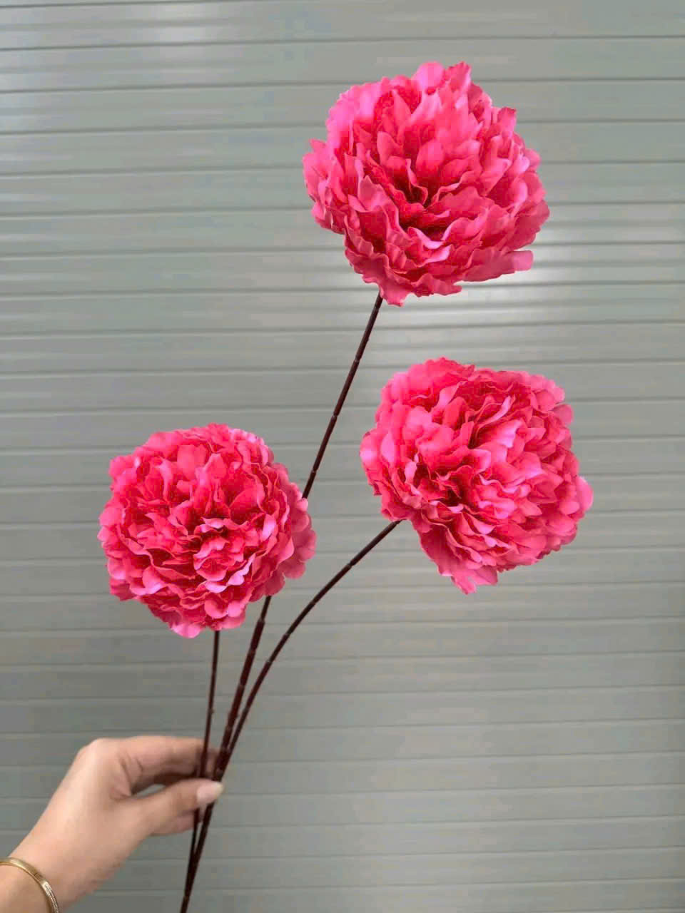 MẪU ĐƠN CÀNH CAO 11K_thumbnail_4