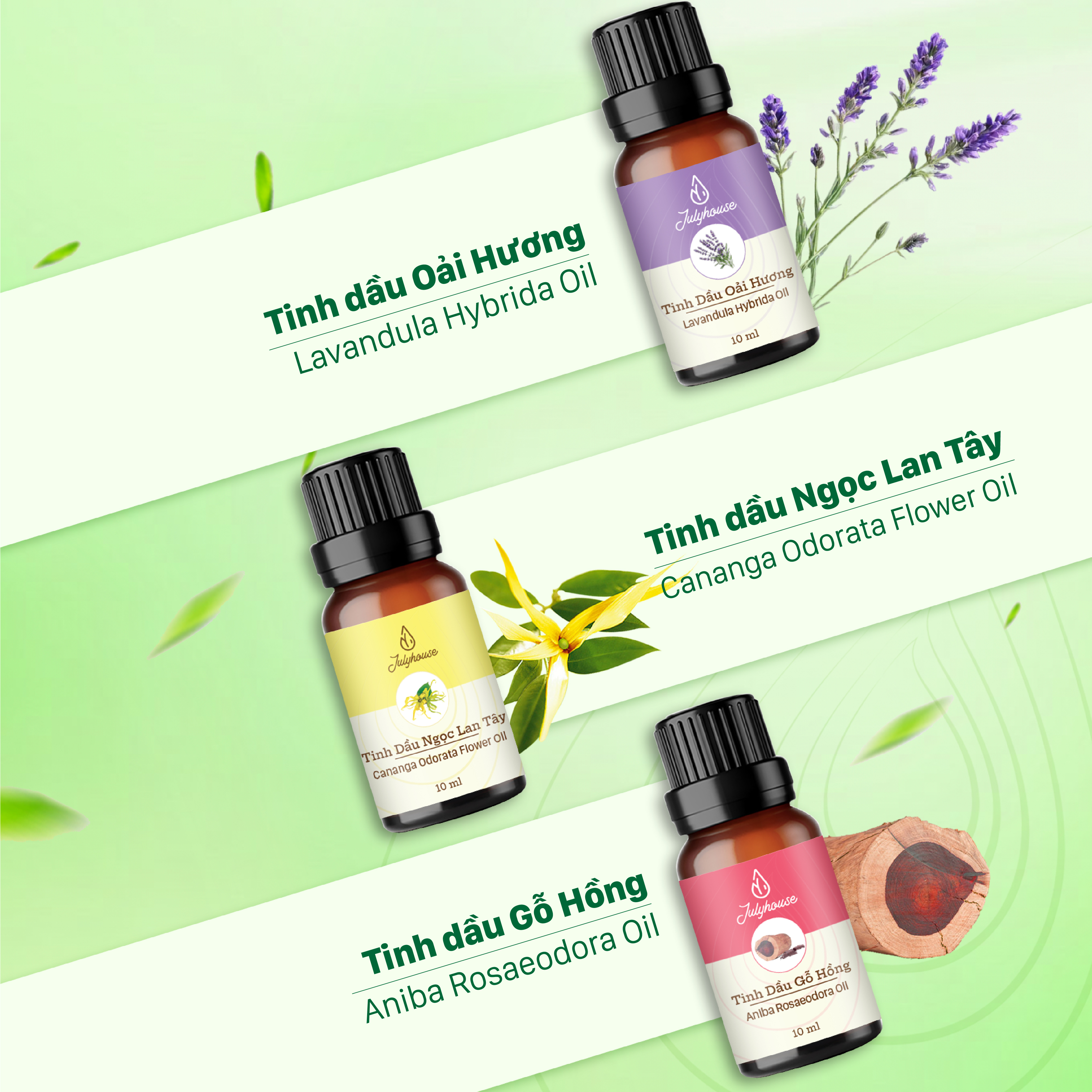 Tinh dầu Gỗ Hồng 10ml Julyhouse (Aniba Rosaeodora Oil)_thumbnail_2