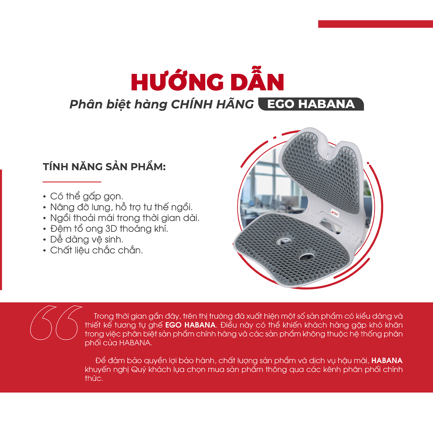 CẢNH BÁO: HƯỚNG DẪN PHÂN BIỆT GHẾ CÔNG THÁI HỌC EGO HABANA CHÍNH HÃNG VÀ HÀNG KÉM CHẤT LƯỢNG