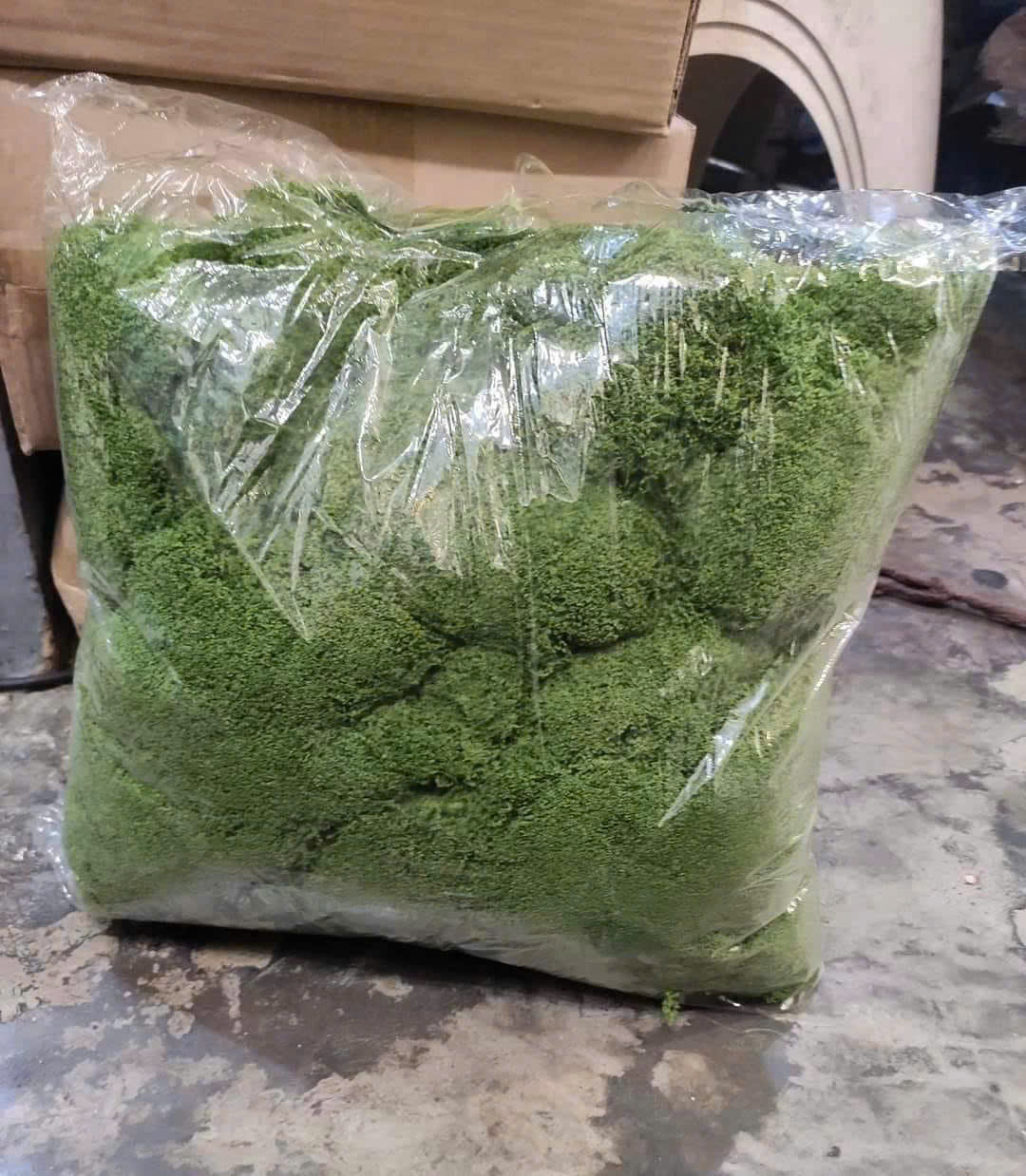 SỢI RÊU 210K/KG_thumbnail_2