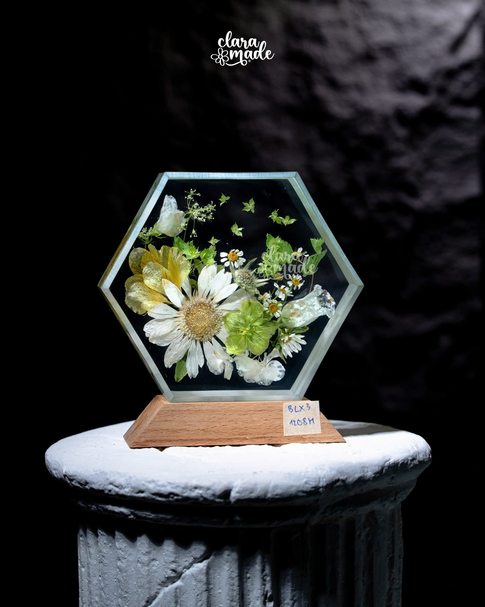 Đèn hoa khô Bloomlight Garden BLX31208H