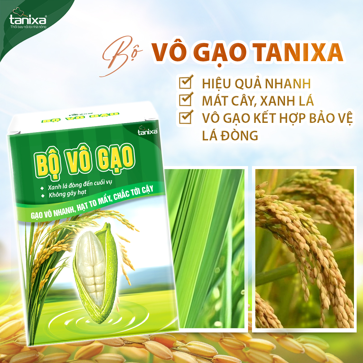 Bộ vô gạo Tanixa_thumbnail_2