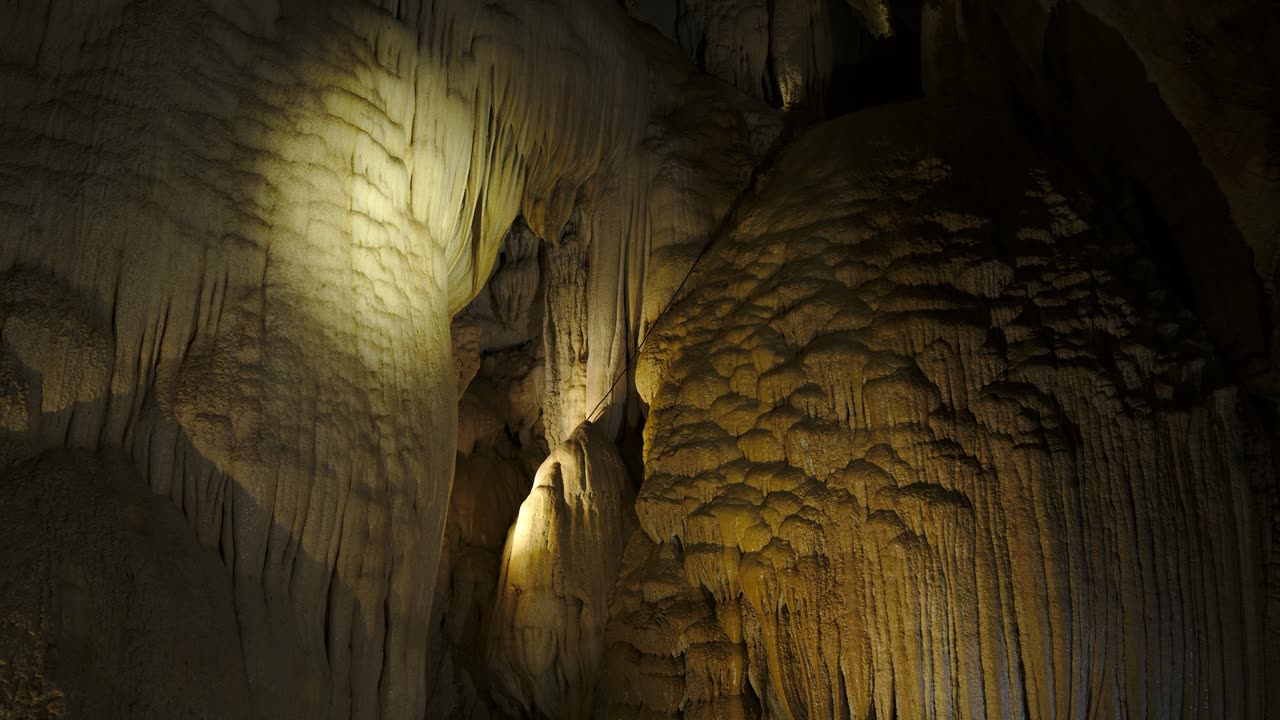 Extreme Wild_thumbnail_2